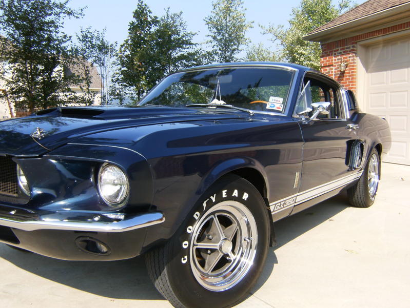 1967 Shelby For Sale