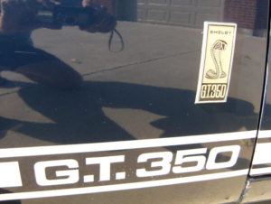 GT 350 & Cobra Logo